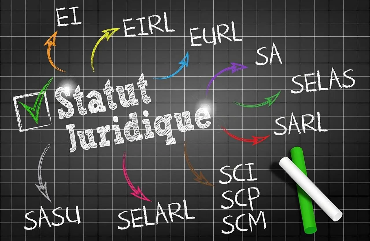 statut juridique d'une entreprise avec societe.com